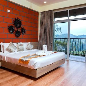 Double Room Mountain View